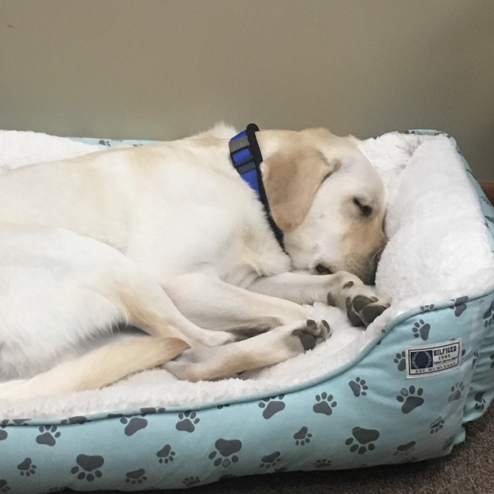 Meet your Posher, Joy